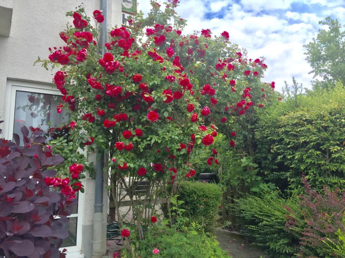 Hotel Garni Am Schaefersberg นีเดิร์นเฮาเซน ภายนอก รูปภาพ
