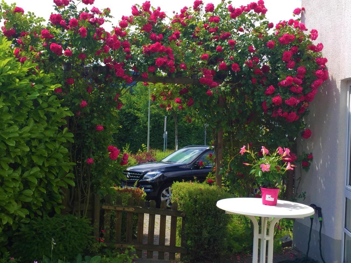 Hotel Garni Am Schaefersberg นีเดิร์นเฮาเซน ภายนอก รูปภาพ